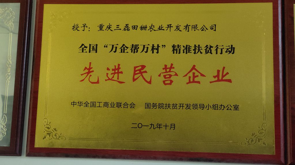 1700554015776076.jpg