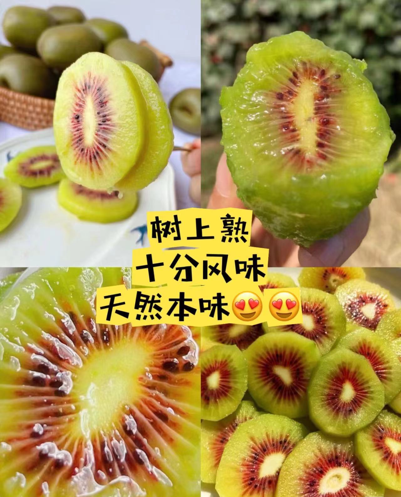 1724812681852625.jpg 微信圖片_20240828100913.jpg